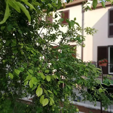 Family Ingrid Apartment *